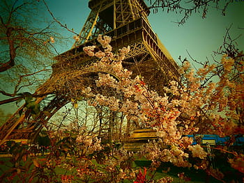 paris, france, steel structure, steel, tower, architecture, world's fair, expo, eiffel Tower, famous Place, paris - France