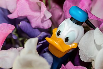 donald duck figurine, donald duck, disney character, sweet-pea, flowers, cartoon character, pez dispenser, smile, cheerful, comic, animal representation