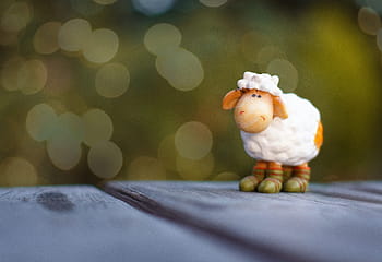 selektivní, zaměření fotografie, jehněčí hračka, ovce, hračky, postava, bokeh, sběratelský, roztomilý, legrační, zvíře