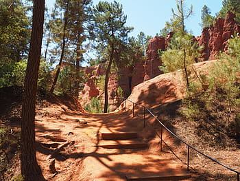 nature trail, ocher trail, away, sand, roussillon, pine forest, pine, forest, ocher rocks, ocher, ocher quarry