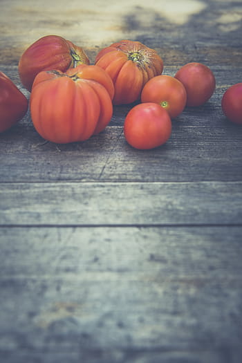 agriculture, bloom, breed, breeding, childhood, controlled farming, crop, cultivation, food, from hand to mouth, gardening