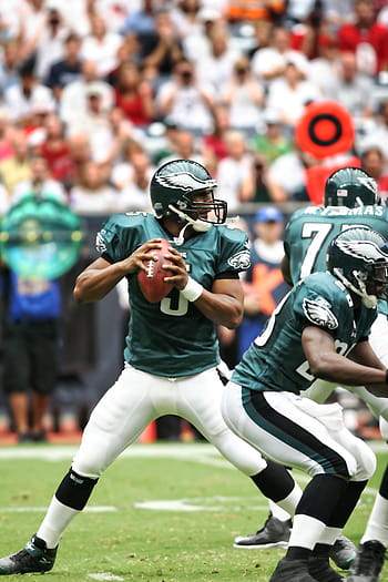 men, playing, football, daytime, professional, quarterback, nfl, passer, passing, pocket, spectators
