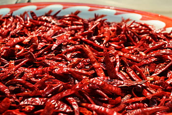 peperoncini secchi, Chilis, chili, secco, Pepe, rosso, chili rosso, speziato, cibo, peperoncino, Spezia