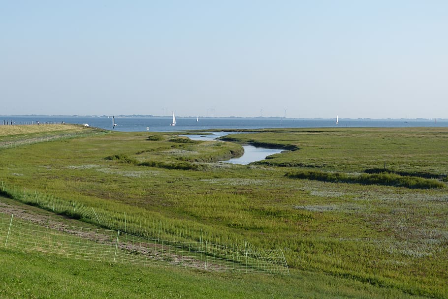 spiekeroog, Příroda, krajina, moře, louka, pobřeží, odpočinek, letní, scénický, ještě pořád, horizont