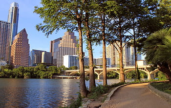 austin, texas, lady bird lake, austin skyline, congress avenue bridge