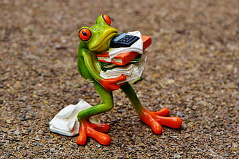 green, frog, carrying, paper documents figurine, ground, figure, files, stack, files stacked, office, decoration