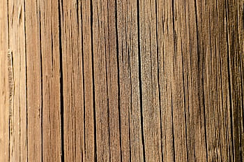 hnědý dřevěný povrch, prkno, textura, dřevo, obilí, pošta, vertikální, texturu dřeva, dřevo textury pozadí, dřevěný, vzor