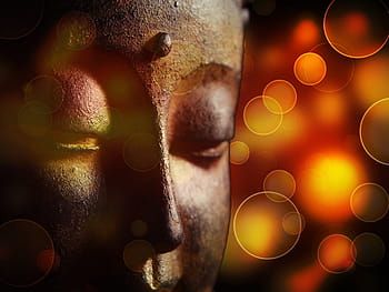 shallow, focus photography gautama buddha, buddha, india, spirit, prayer, concept, buddhist, buddhism, attitude, thailand