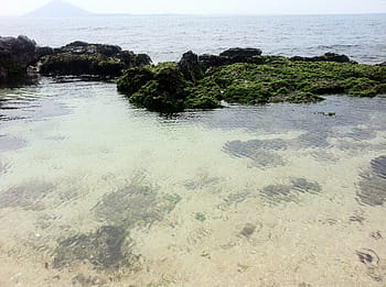 νησί της, jeju, θάλασσα, εσύ κάνεις, olle gill, φύση, παραλία, καλοκαίρι, ακτογραμμή
