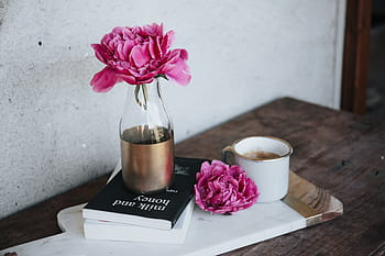rosa, fiore, chiaro, vaso di vetro, posto, superiore, nero, coperto, libro, vaso, display