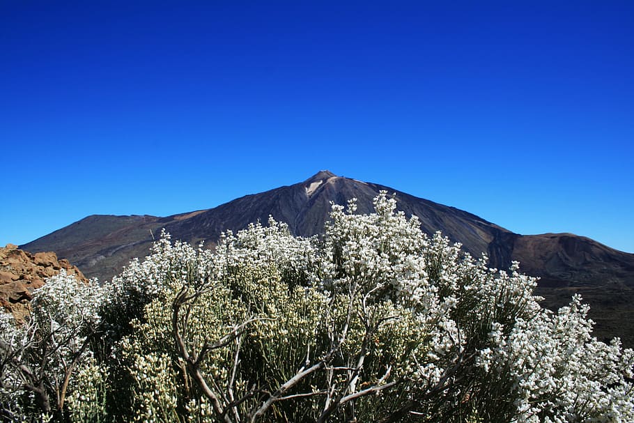 teide, národní, park, Kanárské ostrovy, národní park teide, tenerife, Španělsko, Příroda, krajina, výhled, lávové pole