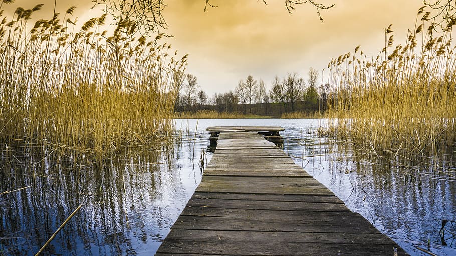 brown dock, landscape, water, river, sky, lake, silence, tranquility, sunset, pond, body of water
