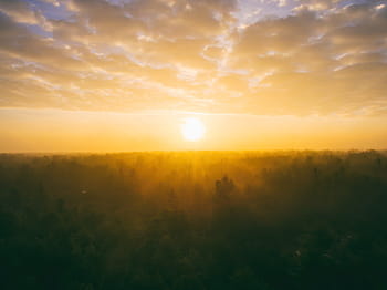 golden, hour photography, forest, nature, landscape, woods, leaves, autumn, fall, sunset, clouds