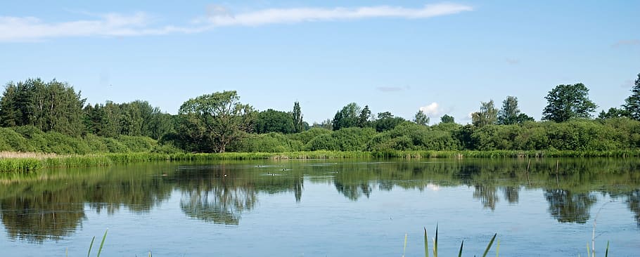 krajina, rybník, voda, zrcadlení úrovně krajiny, nebe, stromy, Příroda, povrch, odraz, jižní bohémii, letní