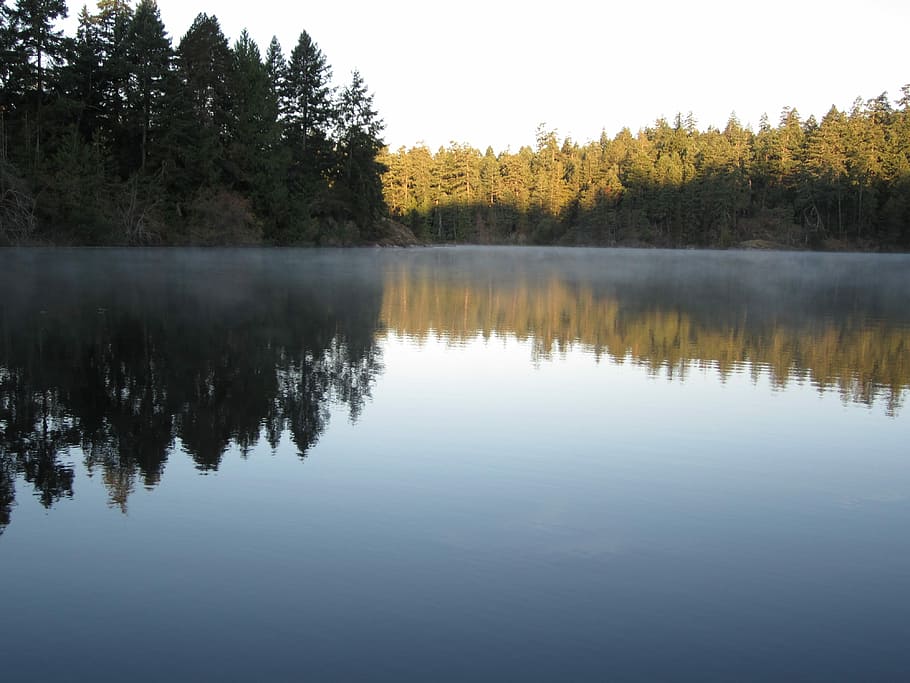 jezero, mlhavé, odraz, voda, hladký, victoria, Britská Kolumbie, Kanada, Příroda, venku, krajina