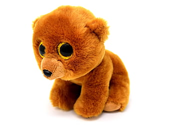 hnědý, medvěd, ty beanie boos, Medvídek, třpytivé oči, vycpané zvíře, měkká hračka, teddy, roztomilý