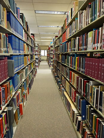 zobrazeny, police, uvnitř, pokoj, místnost, knihovna, studie, knih, vzdělání, škola, univerzita, vysoká škola