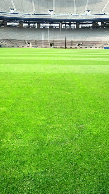zelená, tráva nfl, podána, bobr stadion, stadión, pole, trávník, tráva, Fotbal, sport