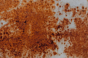 fondo, fondos, textura, sucio, grunge, Varios, tipos, texturas
