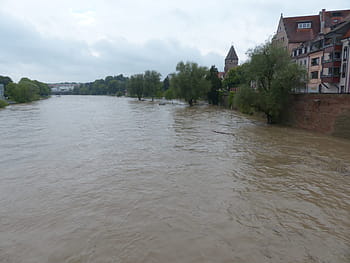 acqua alta, Danubio, Ulm, piovoso, tempo metereologico, tempo piovoso, liquami, pioggia, bagnato, Trueb, precipitato