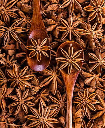 ikat, coklat, kacang, kayu, sendok, adas manis, rempah-rempah, biji-bijian, sprocket, aroma, anggur