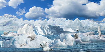 sfondo, comporre, natura, animali, Orsi polari, iceberg, artico, freddo, cambiamento climatico, habitat