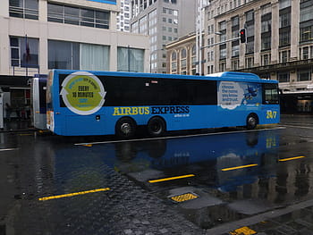 Bus, Auckland, Parking Lot, New Zealand, blue, transport, rain, street, city, text, transportation