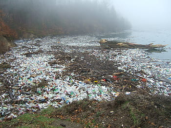 body, water, full, plastic bottles, slab logs, pollution, drina, plastic waste, natural pollution, garbage, environmental sins