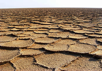 desert, land, arid, nature, landscape, dry, drought, cracked, earth, soil, surface