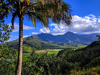 kauai, hawaii, nature, landscape, tropical, scenic, island, vacation, paradise, travel, hanalei
