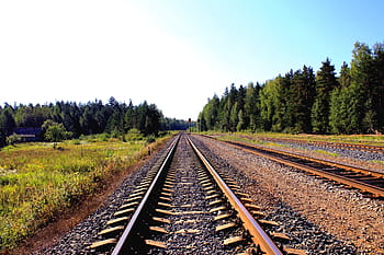 empty, brown, train track, green, plants, daytime, railway, surrounded, trees, blue, sky