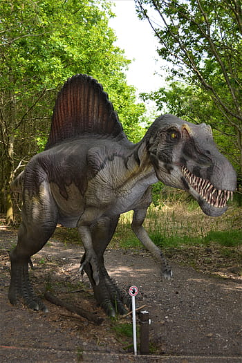 dinosaurus, dino, masožravých dinosaurů, dino-park, wedde, Nizozemí, Holandsko, zábavní park, pravěku, dravec, plaz