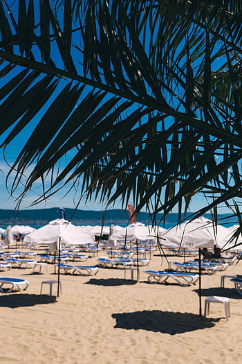 tumbonas, soleado, playa, sombrillas, salón, sillas, Sunny Beach, Bulgaria, océano, arena, mar