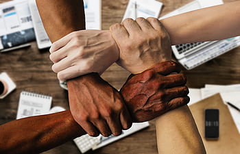 takım, iş, bina, ofis, çeşitlilik, birlikte, işbirliği, Çalışma, meslektaşlar, grup, başlamak