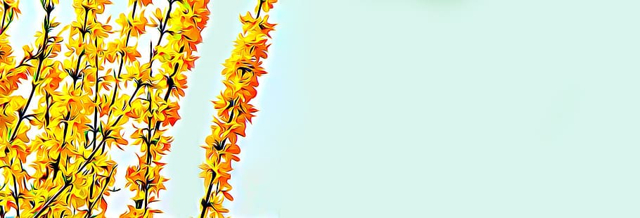 digital, graphics, banner, plant, flower, yellow, laburnum, nature