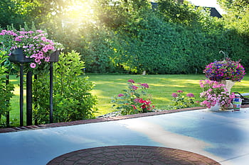 altanen på baksidan, blommor, trädgård, trädgårdsarbete, blommaträdgårdsskötsel, natur, växter, blooms, blommar, sommar