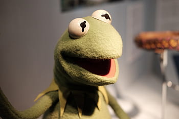 κερατώστε τον βάτραχο, τα muppets, κούκλα, πράσινος, παιχνίδι, χιούμορ, Χένσον, ψυχαγωγία, φιγούρα, διασκεδαστικο, βάτραχος