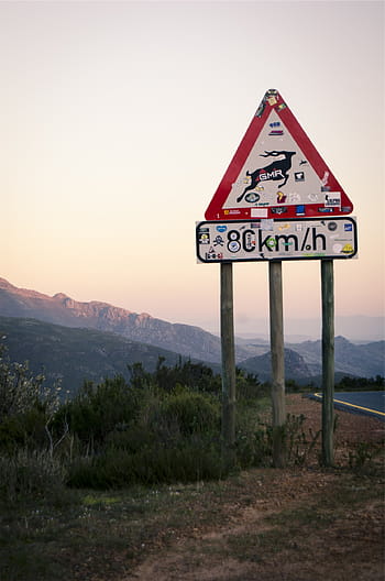 signalisation routière, route asphaltée, km, h, signalisation, plein, des autocollants, route, des signes, rendement, cerf
