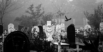 fotografie ve stupních šedi, osoba, stojící, hrobky, lidé, dospělý, muž, skupina, černobílý, panoramatický, hřbitov
