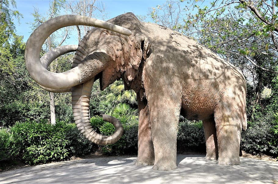 Španělsko, barcelona, costa brava, město, park, architektura, cestovní ruch, mamut, postava