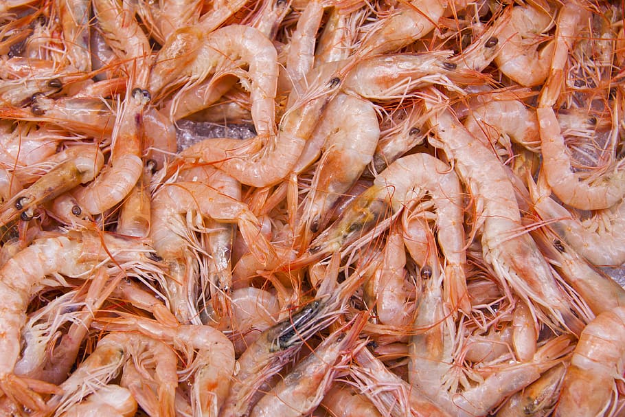 hromadu krevety, krevety, krabi, korýšů, rybí trh, středomoří, tenký plášť, antény, sonda, fond, Pozadí