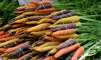 rood, zwart, wortels, groente, voedsel, wortel, bos, markt, natuur, gezond, versheid