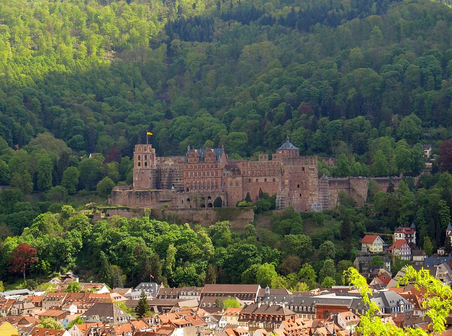 hrad, střední, les, Heidelberg, schloss, náhrdelník, heidelberger schloss, město, architektura, Itálie, Evropa