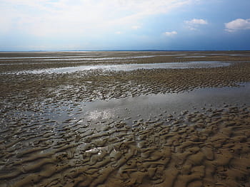 shallow, watts, wadden sea, priel, sand, watt hike, mudflat hiking, hike in the wadden, expert watt leader, islands, watt trails