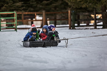 persone, bambini, ragazzi, giocando, la neve, inverno, freddo, all'aperto, avventura