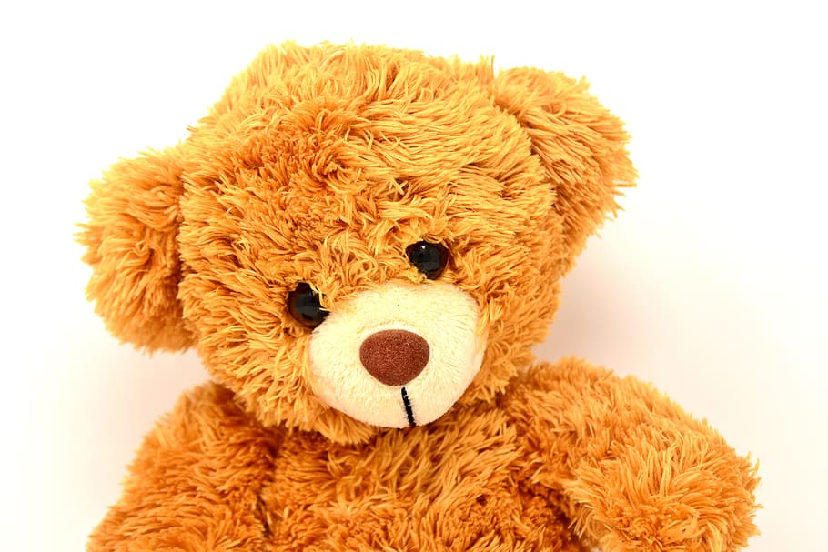close, brown, teddy, bear, soft toy, bears, funny, teddy bear, cute, stuffed animal, children