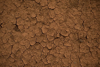 brown dried soil, earth, texture, mud, arid, dry, field, nature, macro, summer, campaign