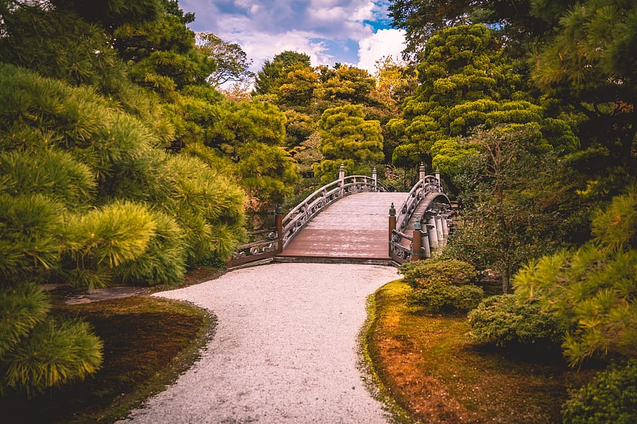 bridge, nature, gardens, kyoto, landscape, away, forest, scenic, beautiful, trail, path