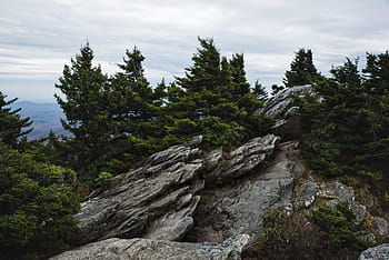 landschapsfotografie, bergen, bomen, rots, heuvel, nok, top, fabriek, natuur, uitzicht, reizen