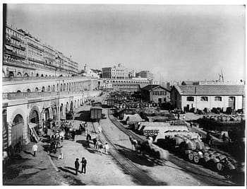 アルジェデポ、 駅構内、 アルジェリア鉄道、 1894年、 アルジェ、 デポ、 駅、 アルジェリア、 鉄道、 パブリックドメイン、 ヴィンテージ